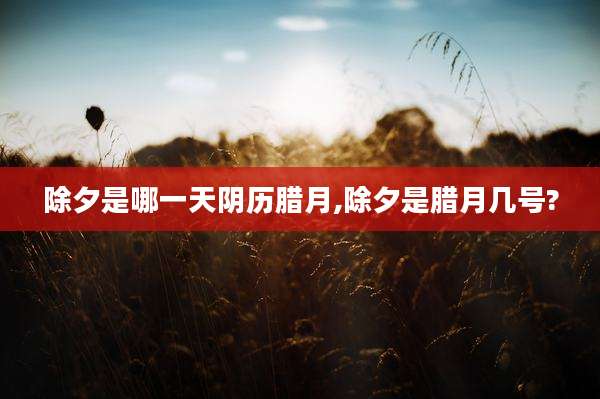 除夕是哪一天阴历腊月,除夕是腊月几号?
