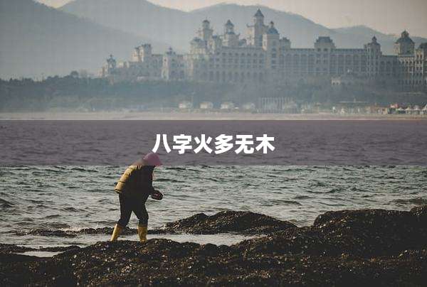 八字火多无木