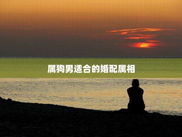 属狗男适合的婚配属相
