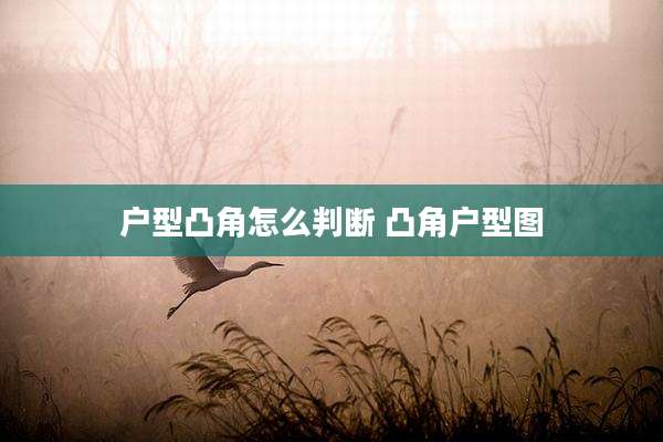 户型凸角怎么判断 凸角户型图