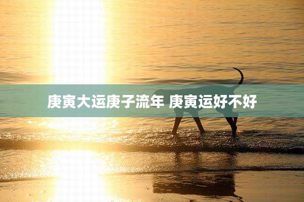 庚寅大运庚子流年 庚寅运好不好