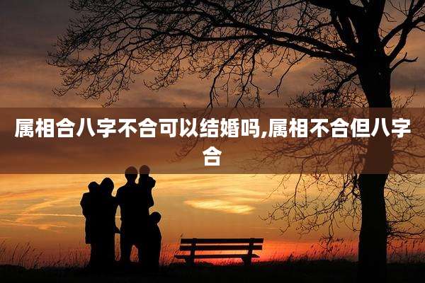 属相合八字不合可以结婚吗,属相不合但八字合