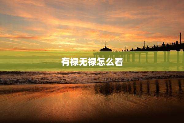 有禄无禄怎么看