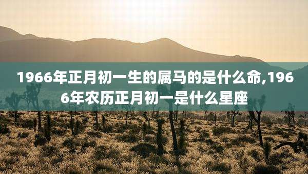 1966年正月初一生的属马的是什么命,1966年农历正月初一是什么星座