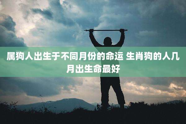 属狗人出生于不同月份的命运 生肖狗的人几月出生命最好
