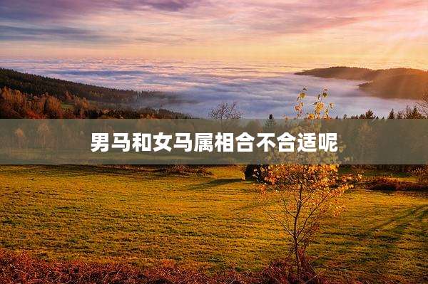 男马和女马属相合不合适呢