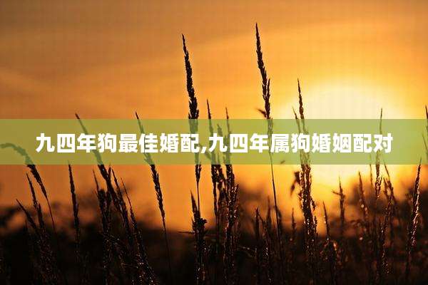九四年狗最佳婚配,九四年属狗婚姻配对