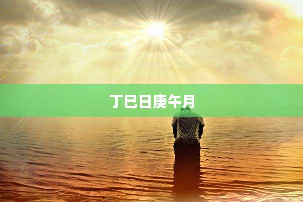丁巳日庚午月