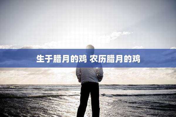 生于腊月的鸡 农历腊月的鸡