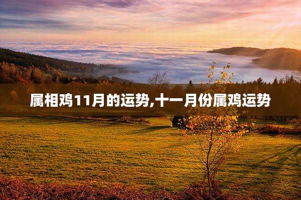 属相鸡11月的运势,十一月份属鸡运势