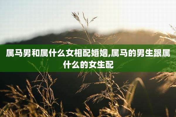 属马男和属什么女相配婚姻,属马的男生跟属什么的女生配