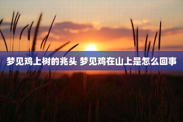 梦见鸡上树的兆头 梦见鸡在山上是怎么回事
