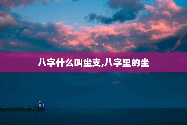 八字什么叫坐支,八字里的坐