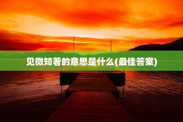 见微知著的意思是什么(最佳答案)