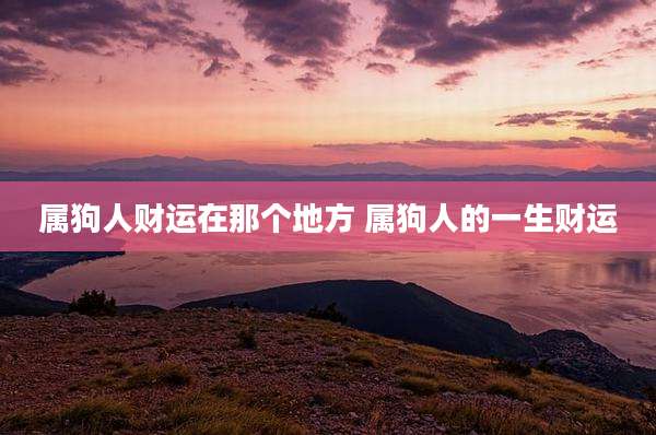 属狗人财运在那个地方 属狗人的一生财运