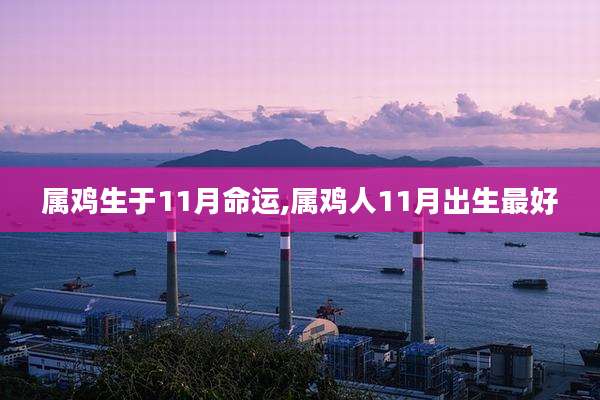 属鸡生于11月命运,属鸡人11月出生最好