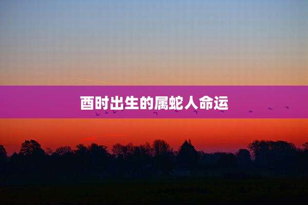 酉时出生的属蛇人命运