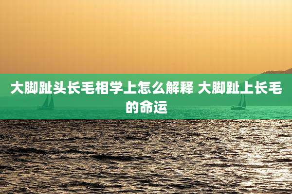 大脚趾头长毛相学上怎么解释 大脚趾上长毛的命运