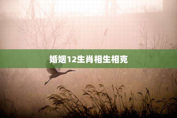 婚姻12生肖相生相克