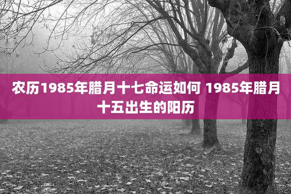 农历1985年腊月十七命运如何 1985年腊月十五出生的阳历