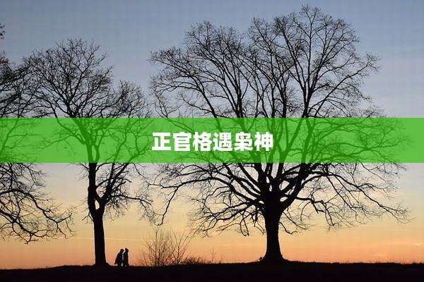 正官格遇枭神