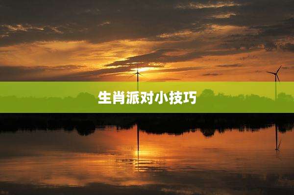 生肖派对小技巧