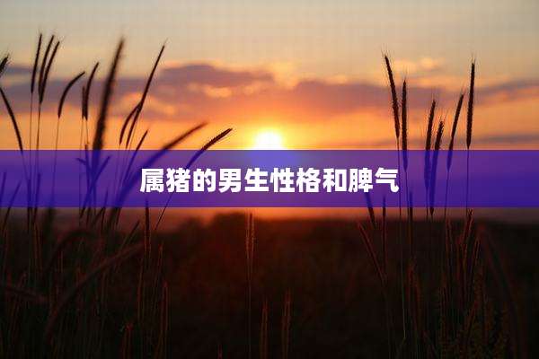 属猪的男生性格和脾气