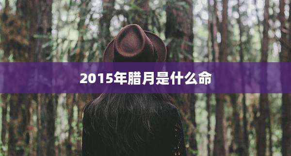 2015年腊月是什么命