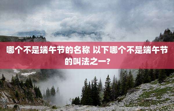 哪个不是端午节的名称 以下哪个不是端午节的叫法之一?