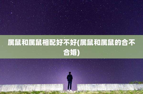 属鼠和属鼠相配好不好(属鼠和属鼠的合不合婚)