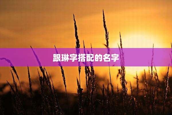 跟琳字搭配的名字
