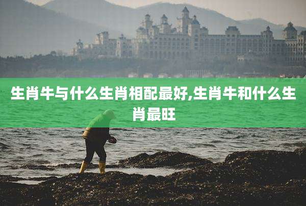 生肖牛与什么生肖相配最好,生肖牛和什么生肖最旺