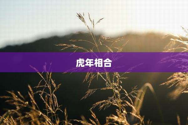 虎年相合