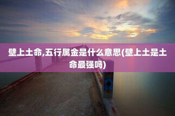 壁上土命,五行属金是什么意思(壁上土是土命最强吗)
