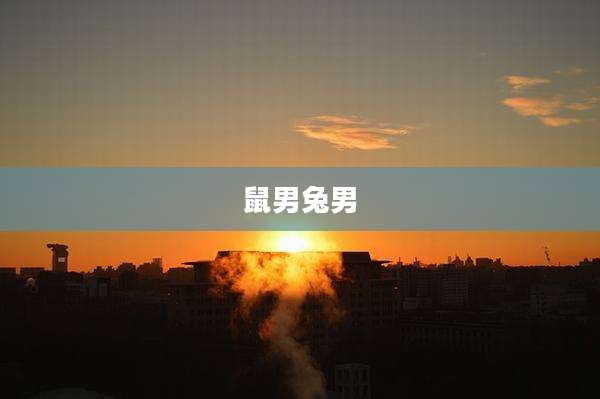 鼠男兔男