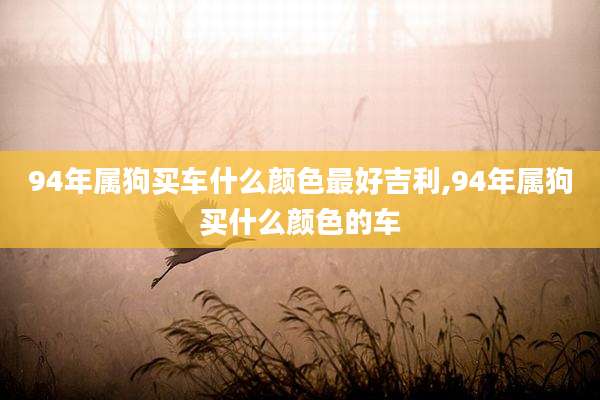 94年属狗买车什么颜色最好吉利,94年属狗买什么颜色的车