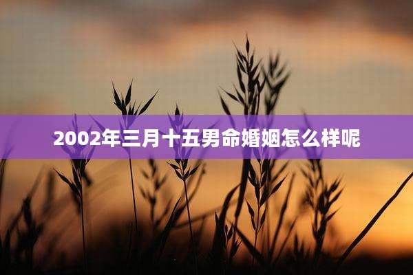 2002年三月十五男命婚姻怎么样呢