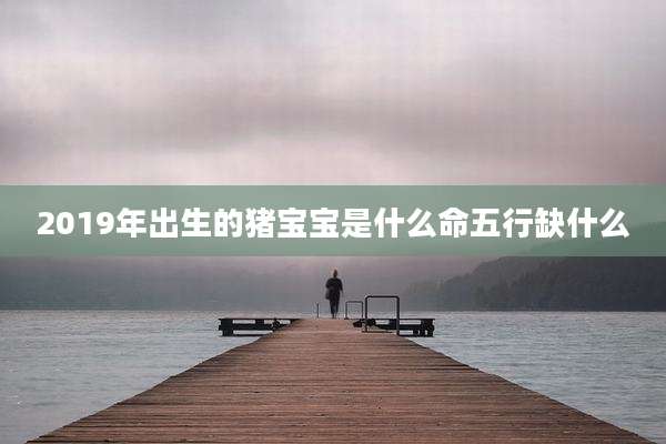 2019年出生的猪宝宝是什么命五行缺什么