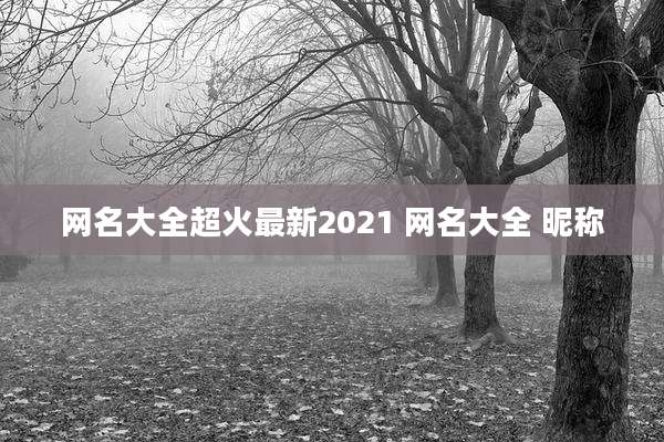 网名大全超火最新2021 网名大全 昵称