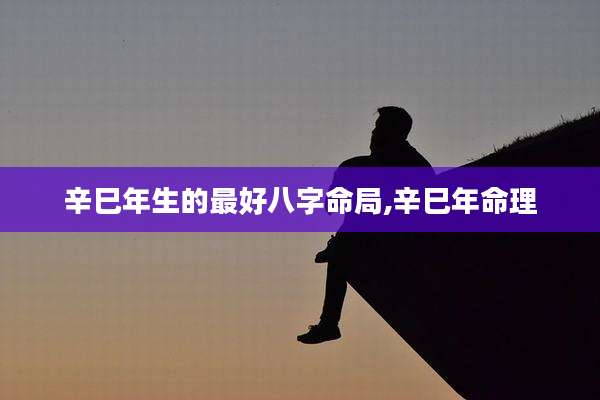 辛巳年生的最好八字命局,辛巳年命理