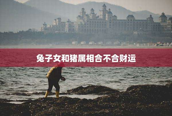 兔子女和猪属相合不合财运