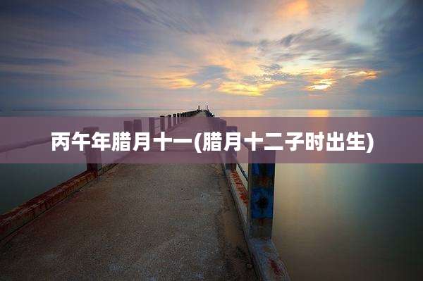 丙午年腊月十一(腊月十二子时出生)