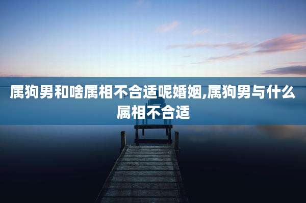 属狗男和啥属相不合适呢婚姻,属狗男与什么属相不合适