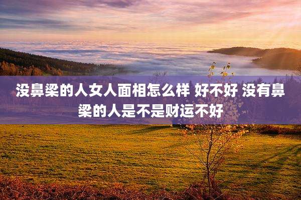 没鼻梁的人女人面相怎么样 好不好 没有鼻梁的人是不是财运不好