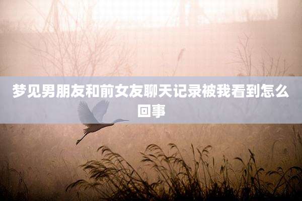 梦见男朋友和前女友聊天记录被我看到怎么回事