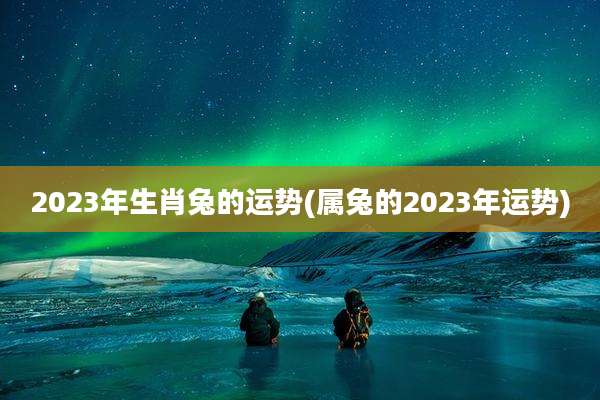 2023年生肖兔的运势(属兔的2023年运势)