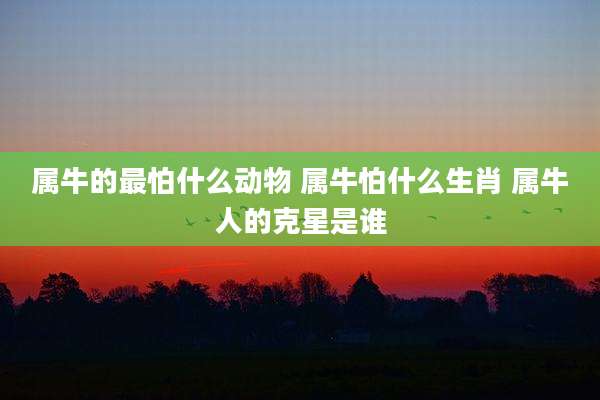 属牛的最怕什么动物 属牛怕什么生肖 属牛人的克星是谁