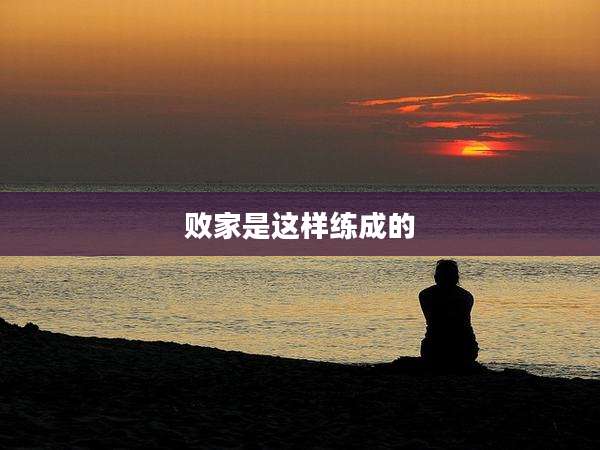 败家是这样练成的