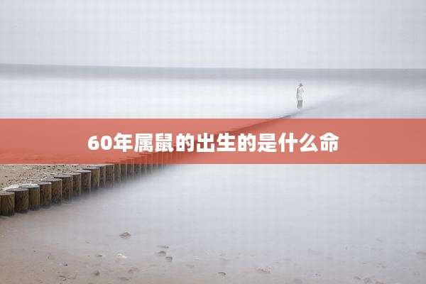 60年属鼠的出生的是什么命