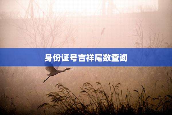 身份证号吉祥尾数查询